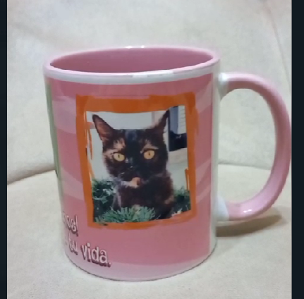 Clientes Satisfechos