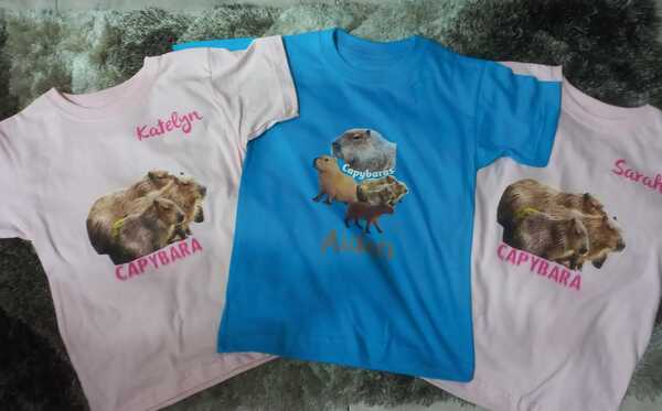 Clientes Satisfechos