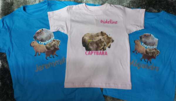 Clientes Satisfechos