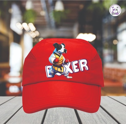 Gorra Frente Color