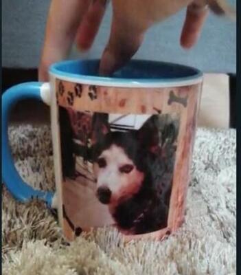 Clientes Satisfechos